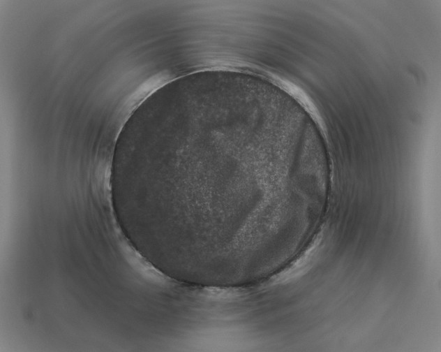 X0000113370954200910061057