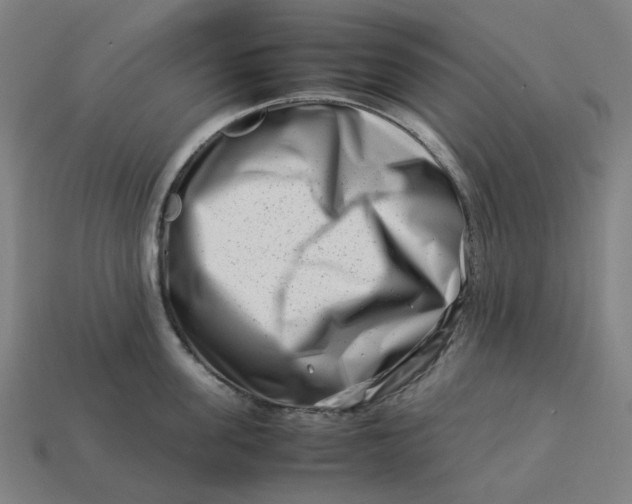 X0000113370955200910061057