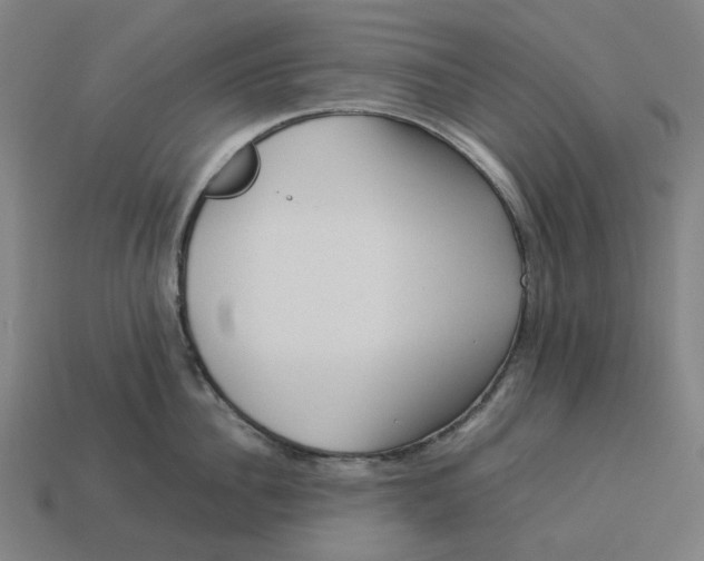 X0000113370956200910061057