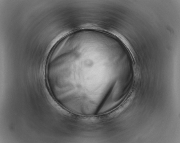 X0000113370957200910061057