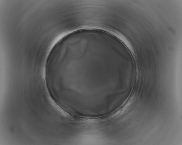 X0000113370958200910061057