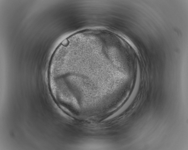 X0000113370959200910061057