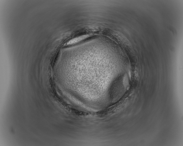 X0000113370961200910061057