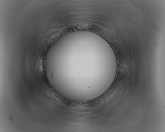 X0000113370962200910061057