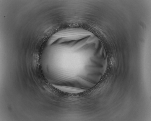 X0000113370964200910061057