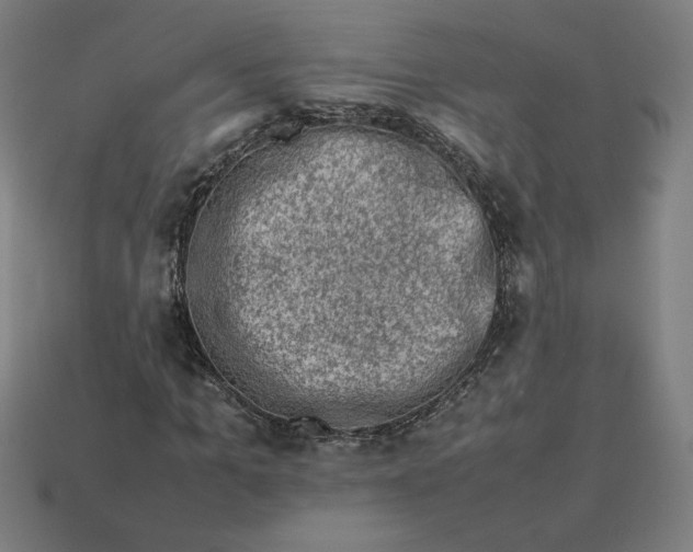 X0000113370965200910061057