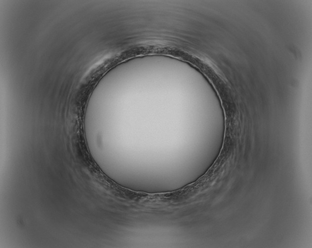 X0000113370967200910061057