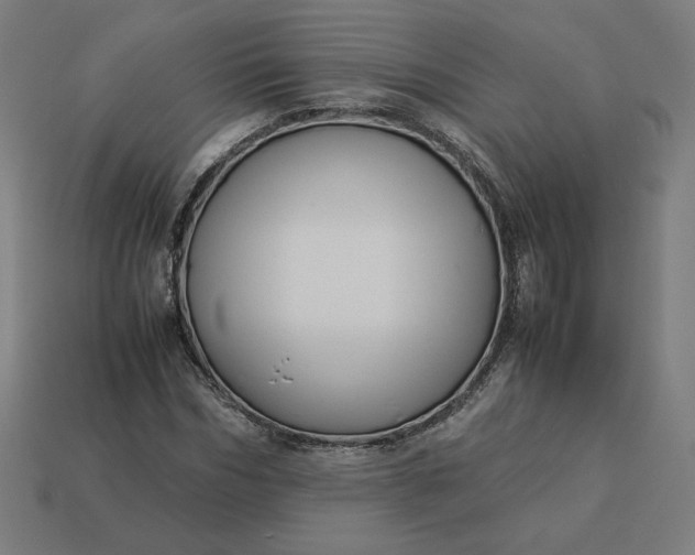 X0000113370970200910061057