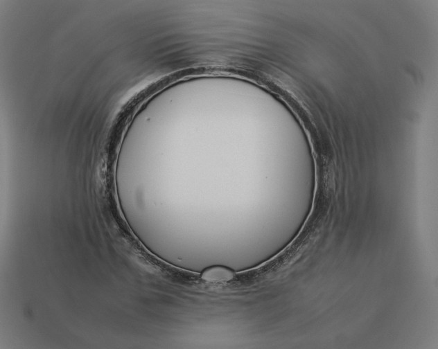 X0000113370971200910061057