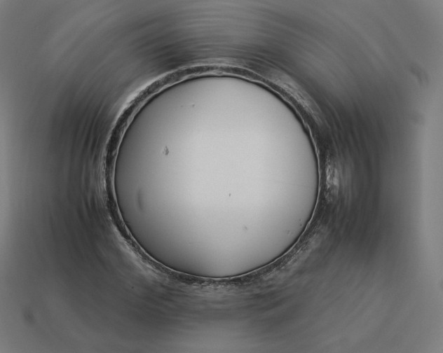 X0000113370972200910061057