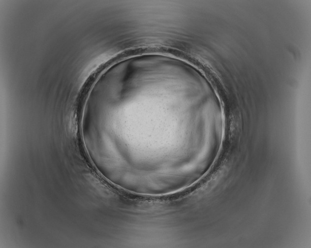 X0000113370973200910061057