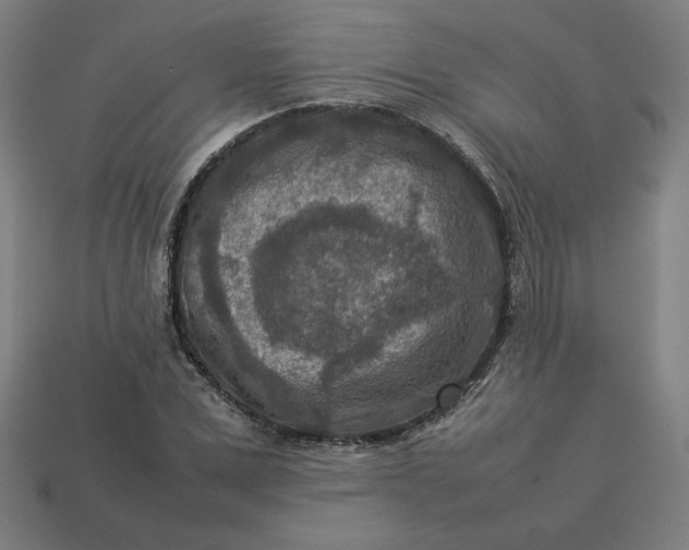 X0000113370975200910061057