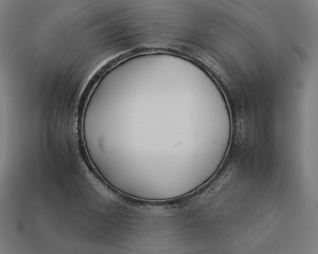 X0000113370976200910061057