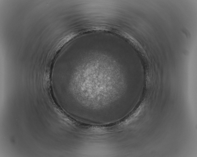 X0000113370977200910061057