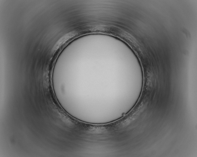 X0000113370978200910061057