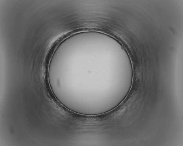 X0000113370979200910061057