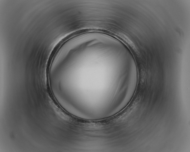 X0000113370980200910061057