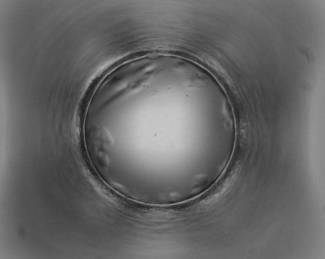 X0000113370981200910061057