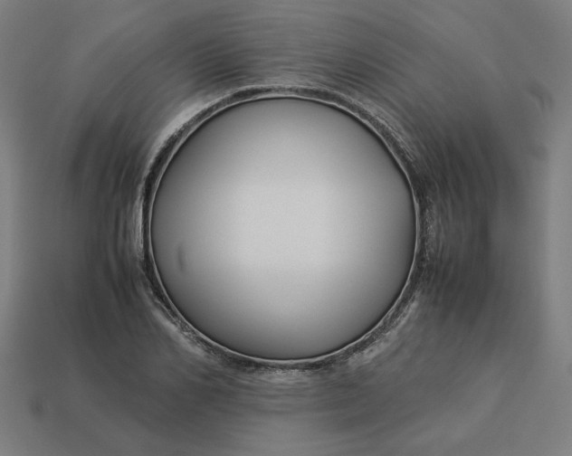 X0000113370982200910061057