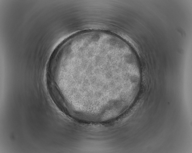 X0000113370983200910061057