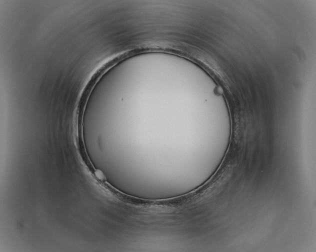 X0000113370984200910061057