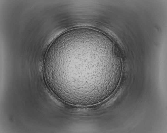 X0000113370985200910061056