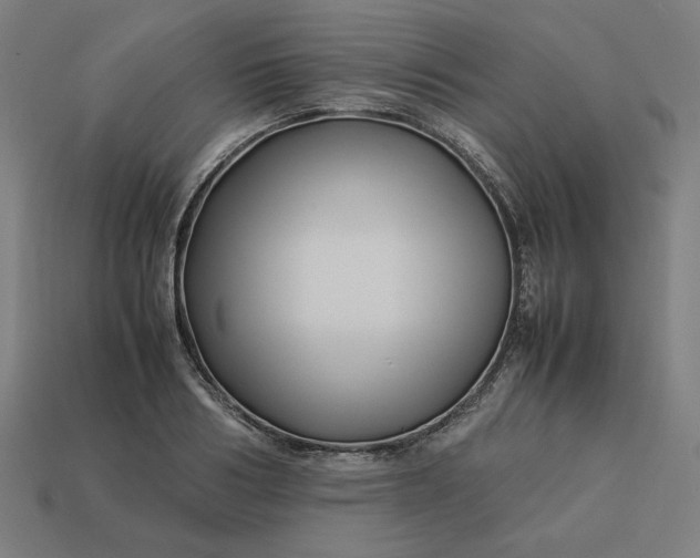 X0000113370986200910061056