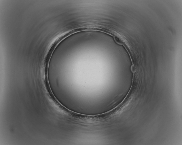 X0000113370987200910061056