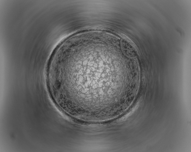 X0000113370989200910061056