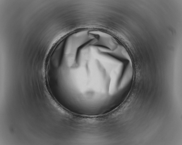 X0000113370990200910061056