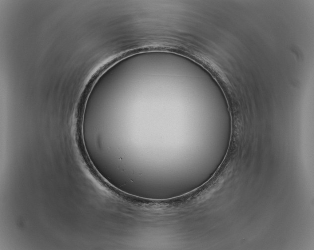 X0000113370991200910061056