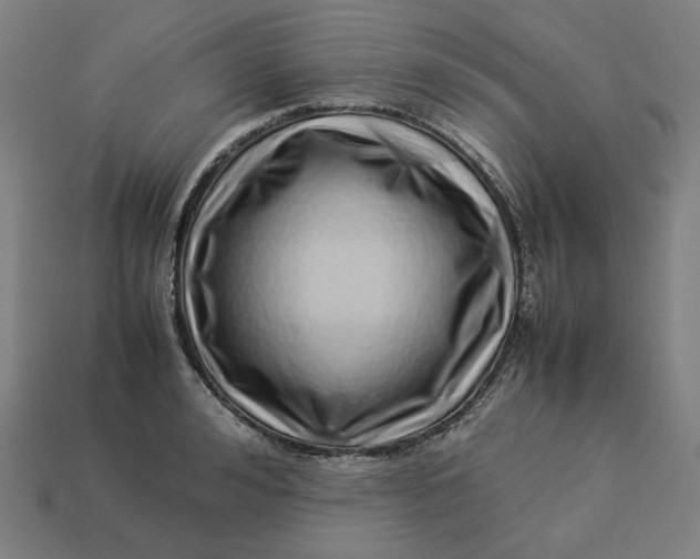 X0000113370992200910061056