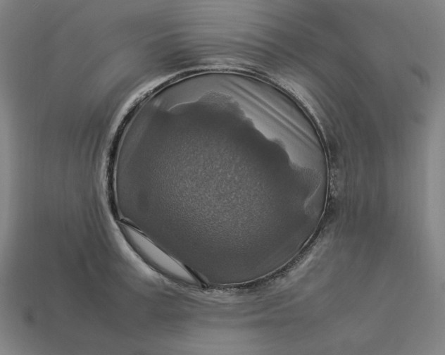 X0000113370995200910061056