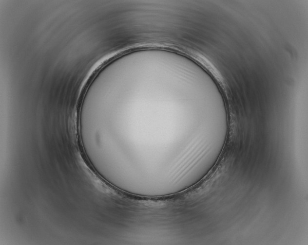 X0000113370996200910061056