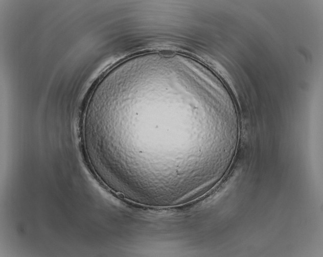 X0000113370997200910061056