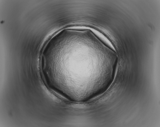 X0000113370998200910061056