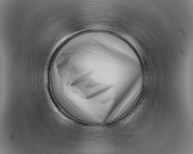 X0000113370999200910061056