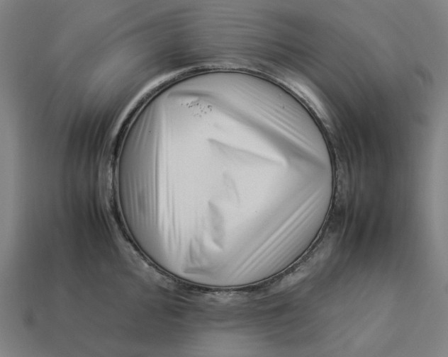 X0000113371000200910061056