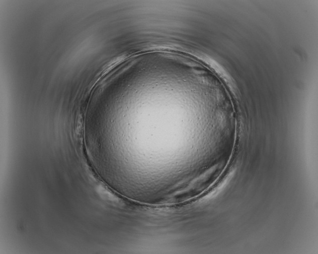 X0000113371001200910061056