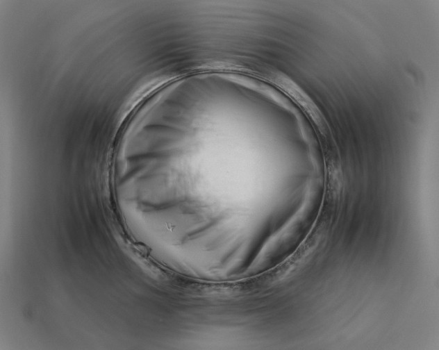 X0000113371002200910061056