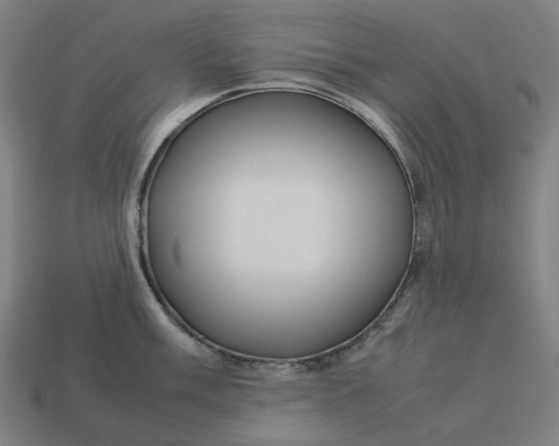 X0000113371003200910061056