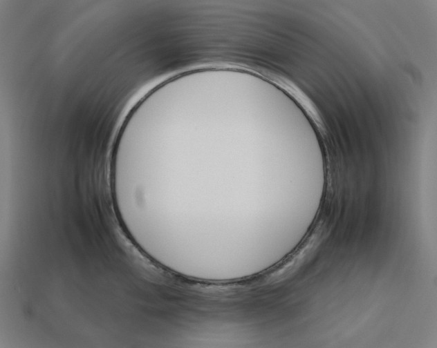 X0000113371004200910061056