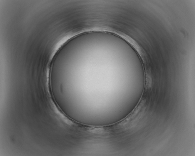 X0000113371006200910061056