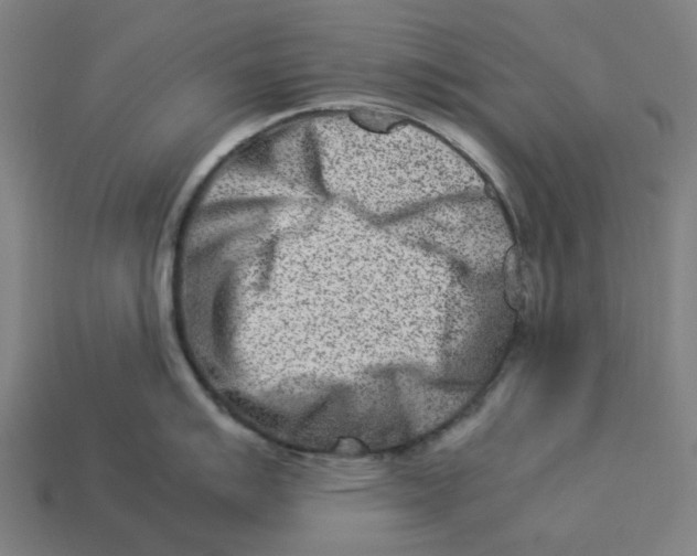 X0000113371007200910061056