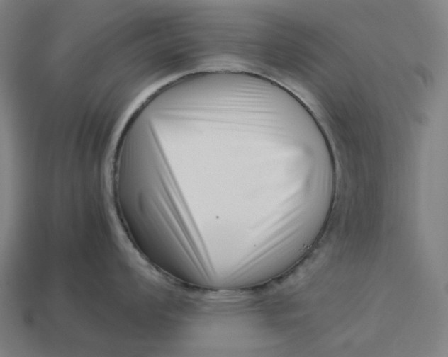 X0000113371008200910061056