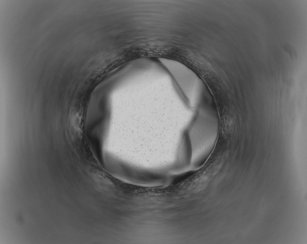 X0000113371010200910061056