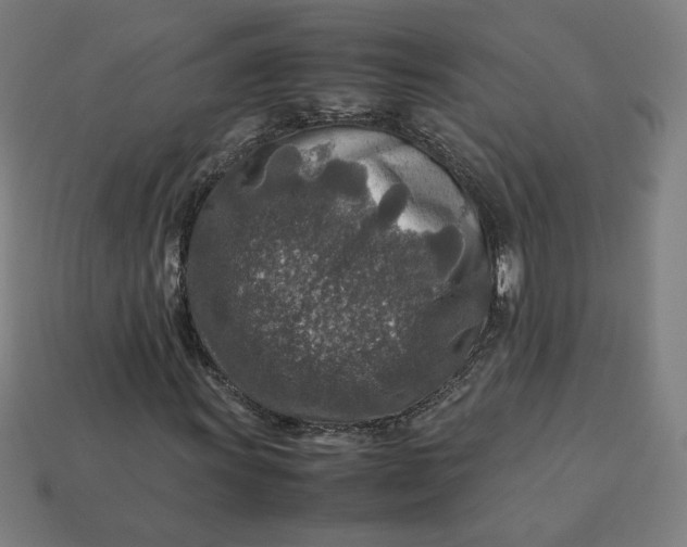 X0000113371011200910061056