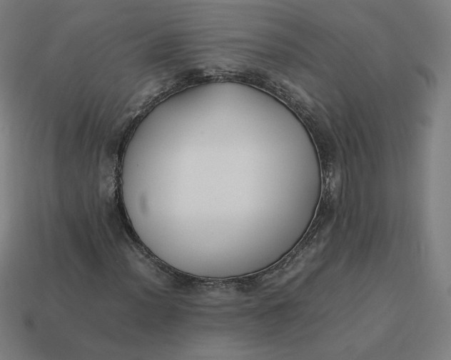 X0000113371012200910061056