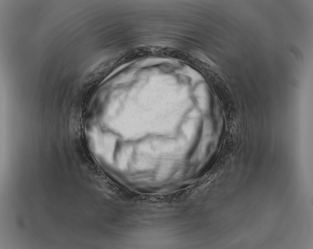 X0000113371014200910061056