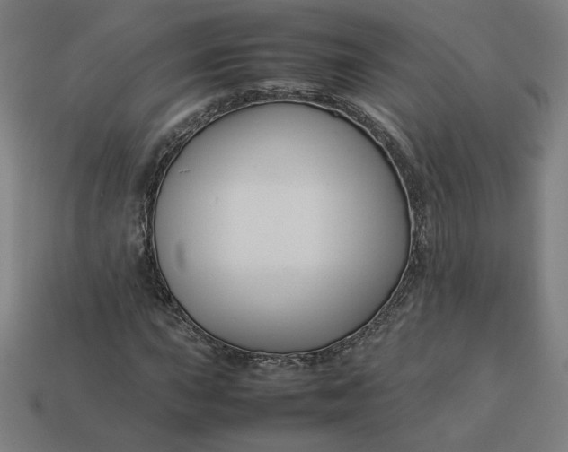 X0000113371015200910061056